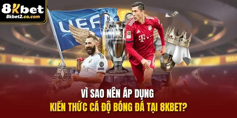 chia sẻ kiến thức cá độ bóng đá